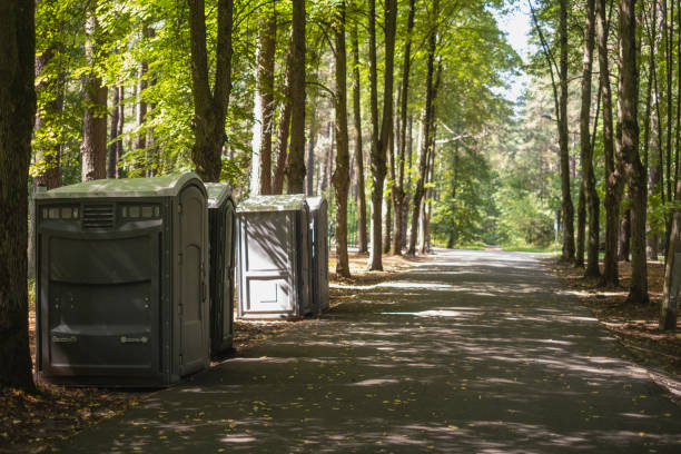 Best Affordable portable toilet rental  in Dexter, MI